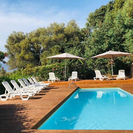 Camping Monte Ortu By Corsica Paradise Hotel Lumio  Kültér fotó