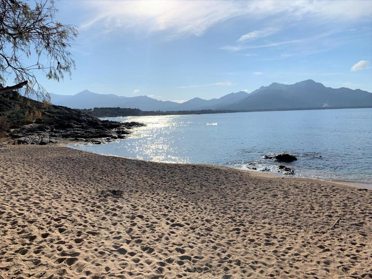 Camping Monte Ortu By Corsica Paradise Hotel Lumio  Kültér fotó